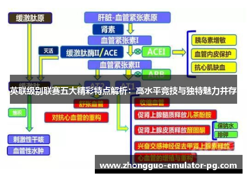 英联级别联赛五大精彩特点解析：高水平竞技与独特魅力并存