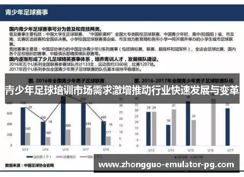 青少年足球培训市场需求激增推动行业快速发展与变革