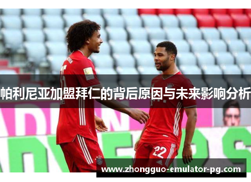 帕利尼亚加盟拜仁的背后原因与未来影响分析